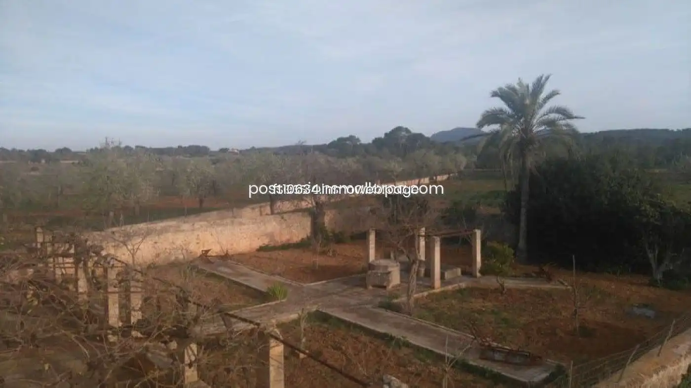Terreno rustico in vendita a Algaida, imagen 64