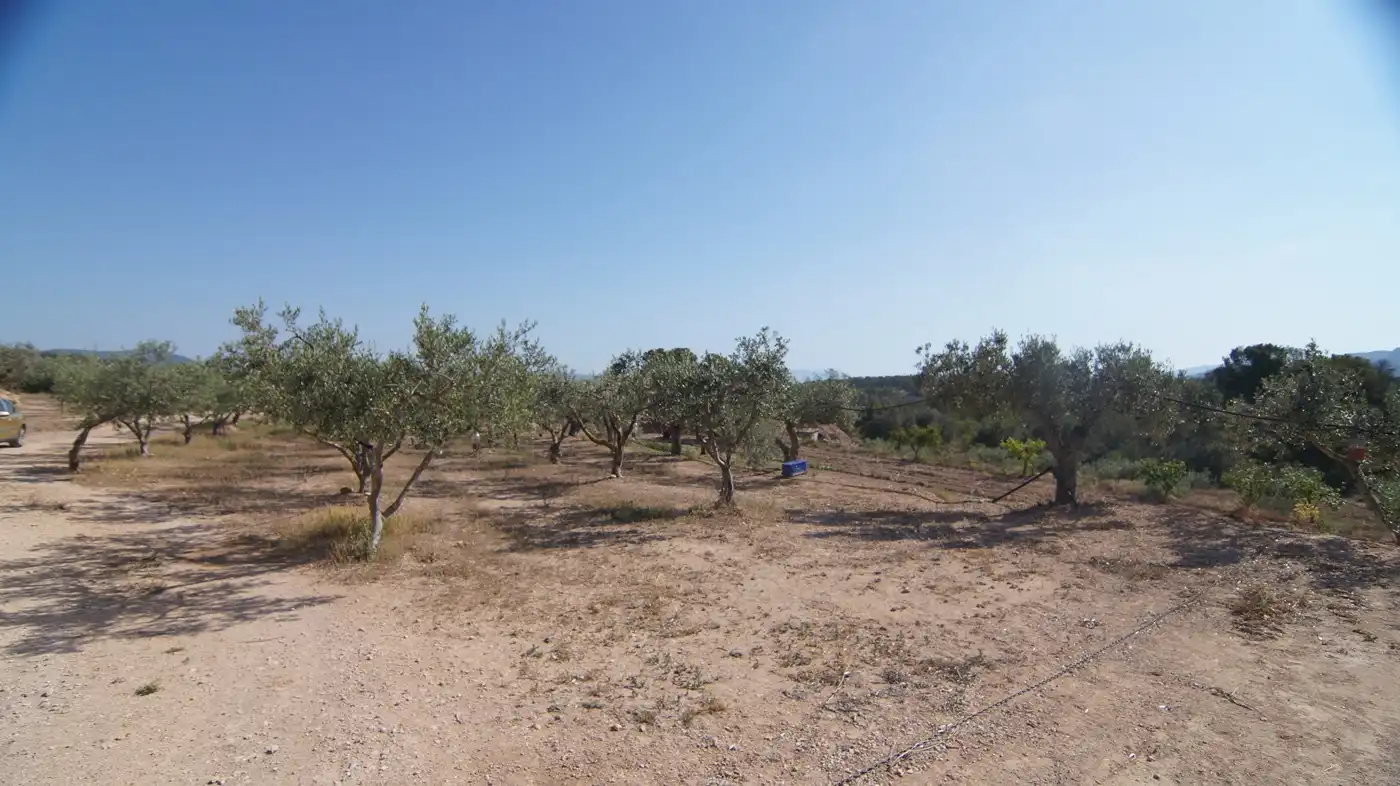 Finca rústica en venda a Miravet