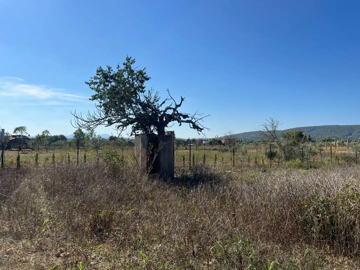 Terreno en venta en Santa Eugènia