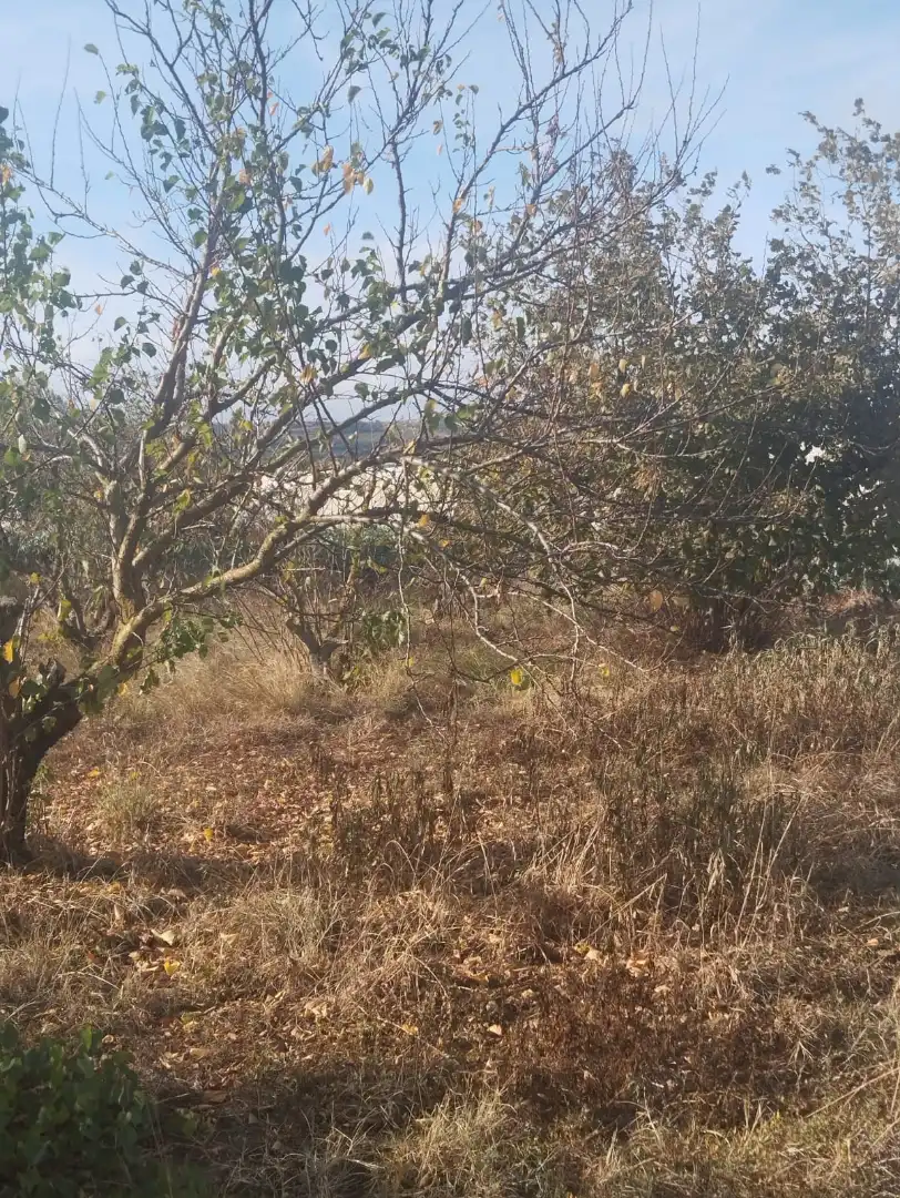 Terreni e lotti in vendita a La Portalada - Varea, imagen 11