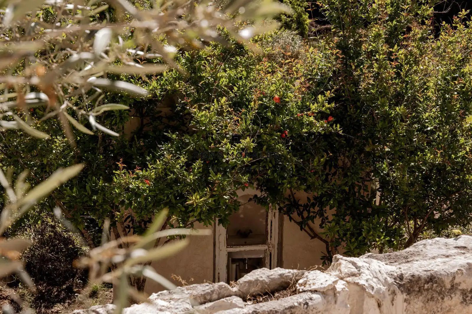 Jardín de Finca rústica en venta en Alaior