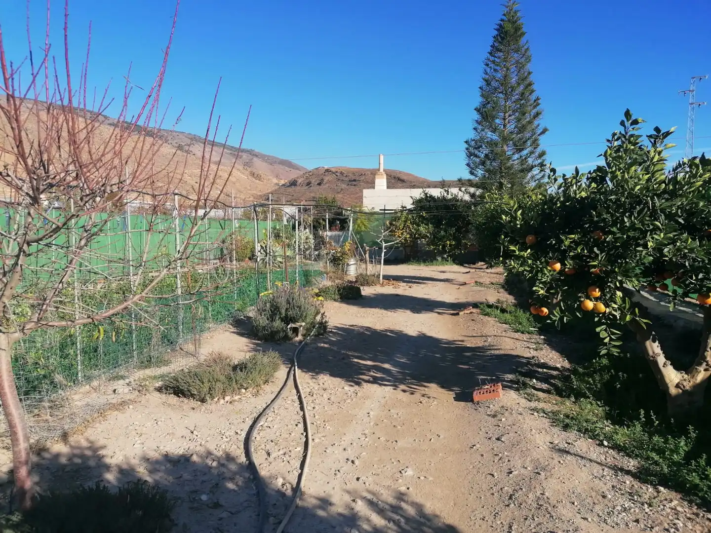 Casa rústica en venda a Dalías, imagen 3