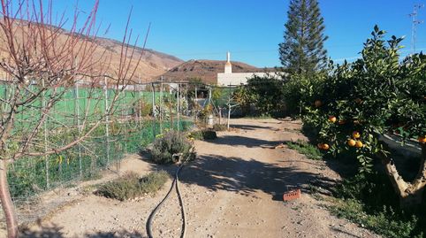 Foto 3 de Finca rústica en venta en Dalías, Almería