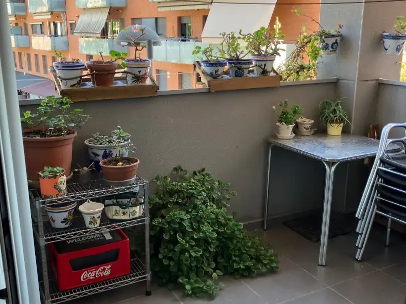Piso con ascensor en venta en Prat de la riba 15, imagen 4