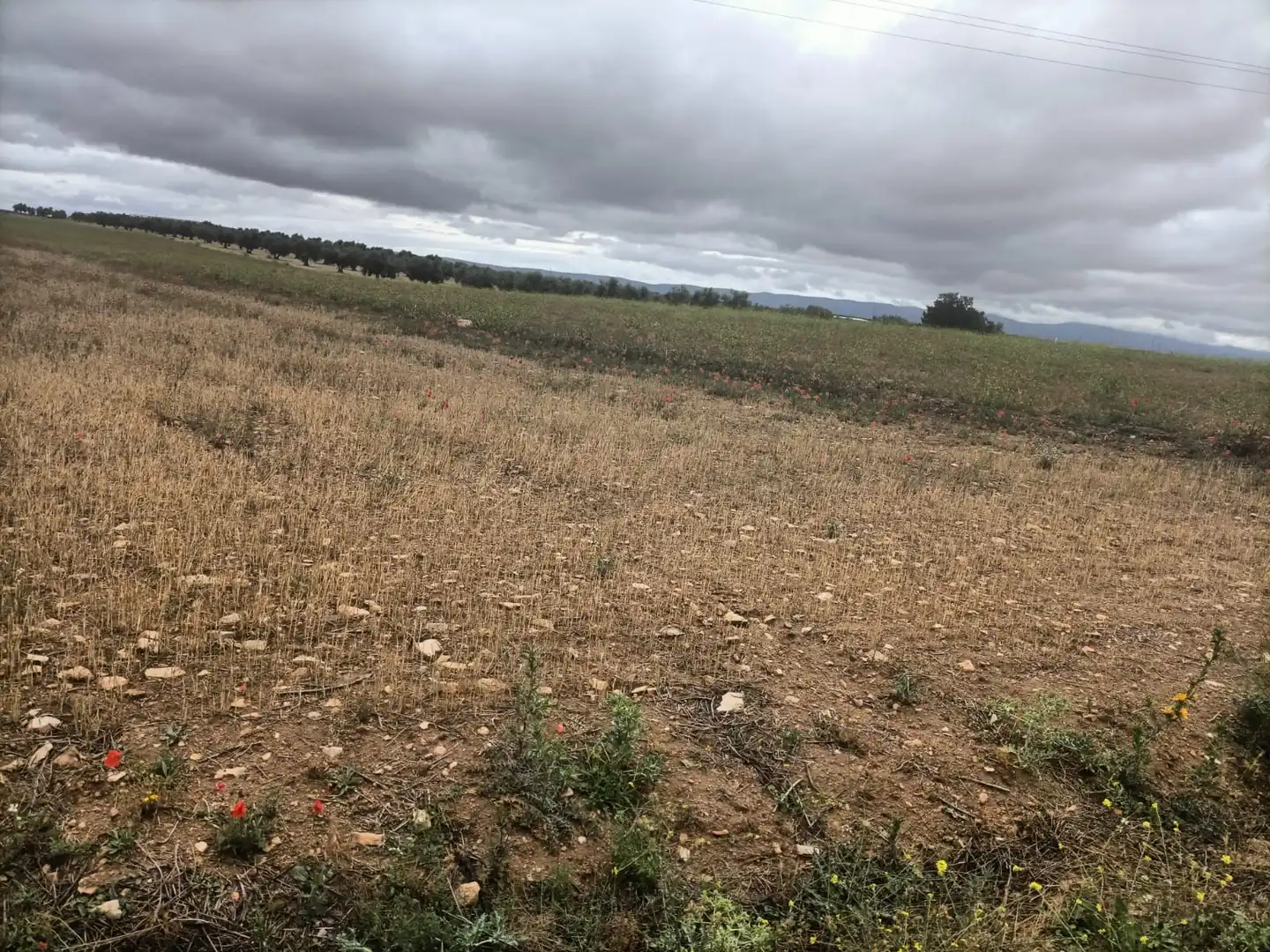 Terreny rústic en venda a Almonacid de Toledo, imagen 4