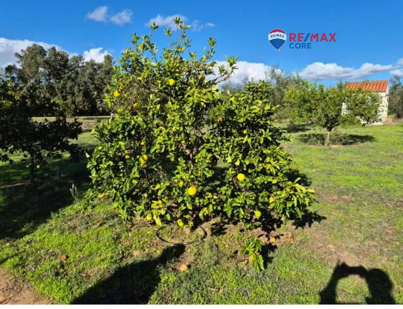 Casa amb jardí en venda a Avenida Elvas, imagen 30