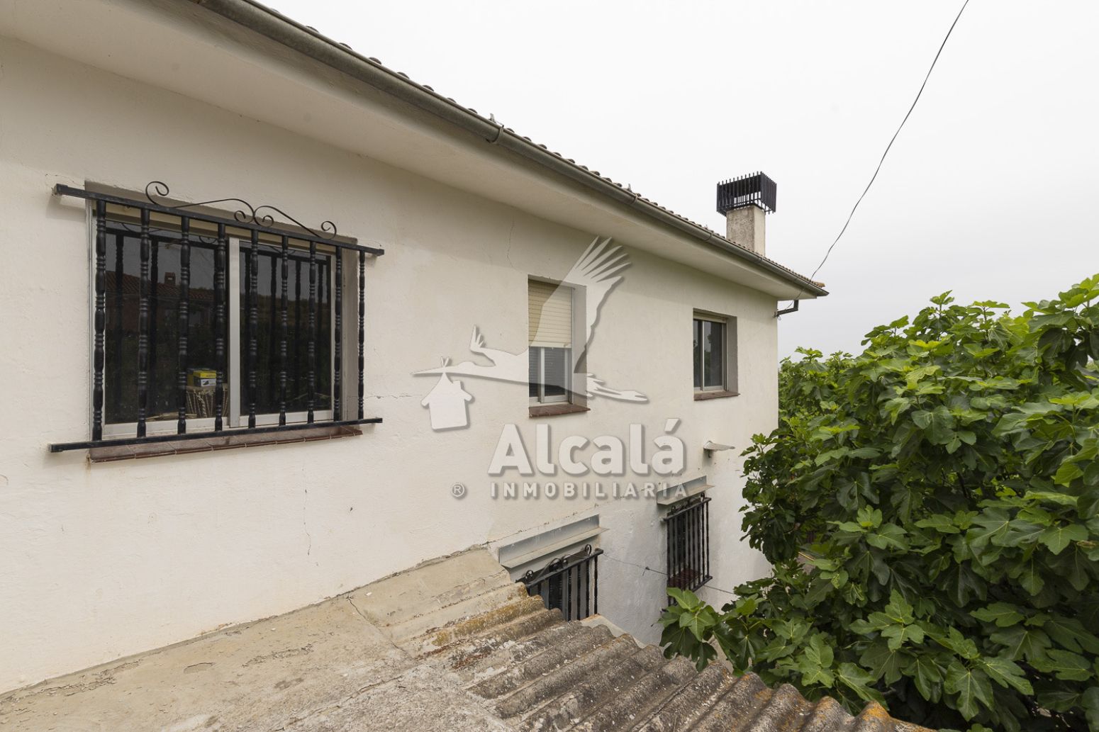 Vista exterior de Casa o chalet en venta en Valdeavero con Jardín privado y Terraza