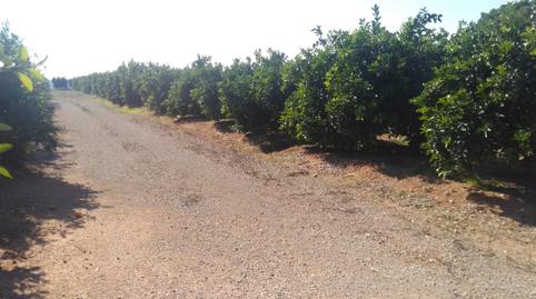 Photo 3 of Country house for sale in Urbanitzación Les Mallaes, Pedralba, Valencia