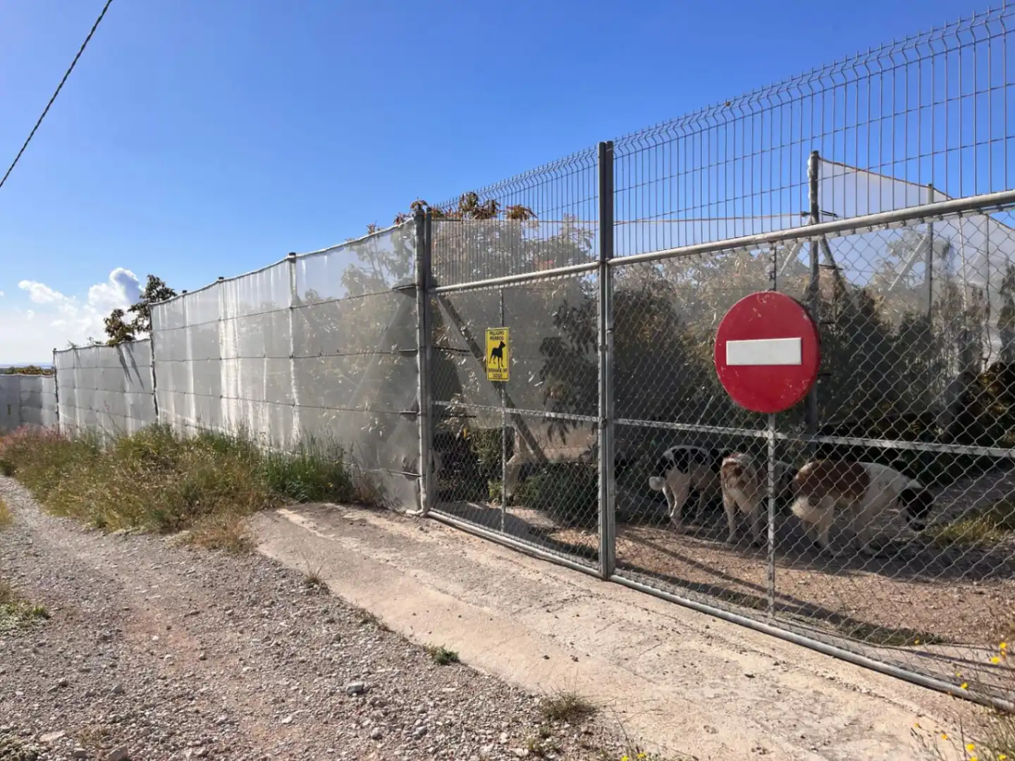 Grundstücke und Bauplätze zum Verkauf in Casco urbano, imagen 2