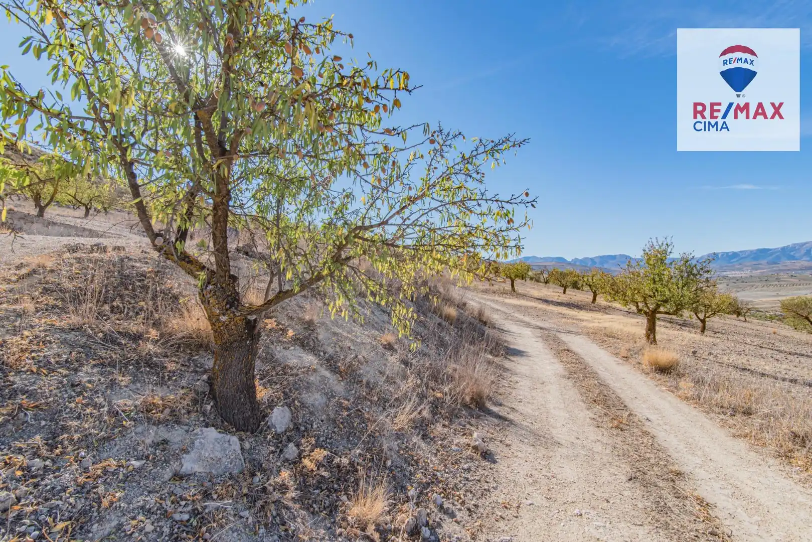 Terreno en venta en Santa Cruz del Comercio