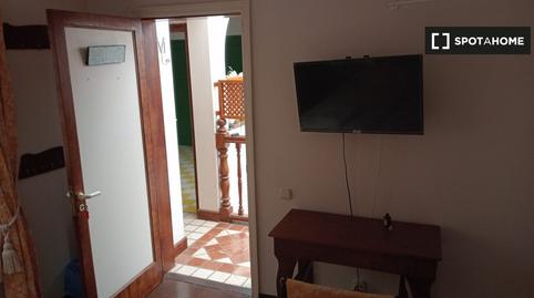 Photo 2 of Flat to share in Vegueta, Las Palmas