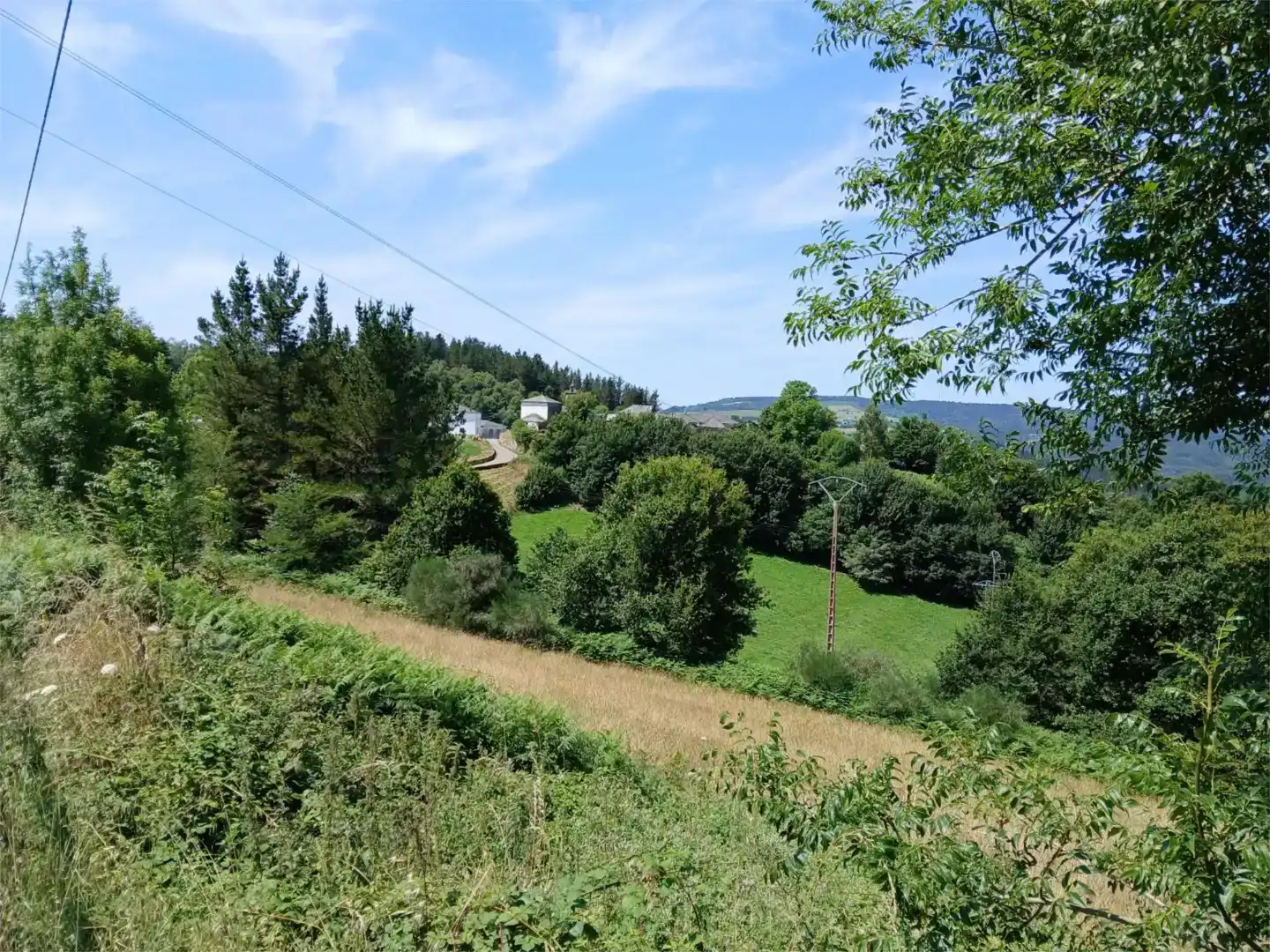 Finca rústica en venda en A Fonsagrada 