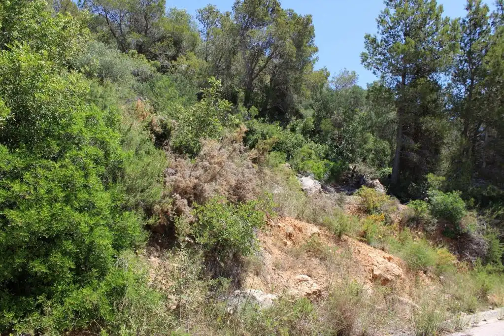 Rural land for sale in C/ Masferrer, imagen 10