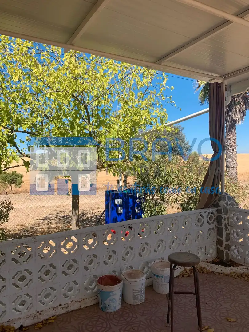 Chalet en venta en La Haba, imagen 34