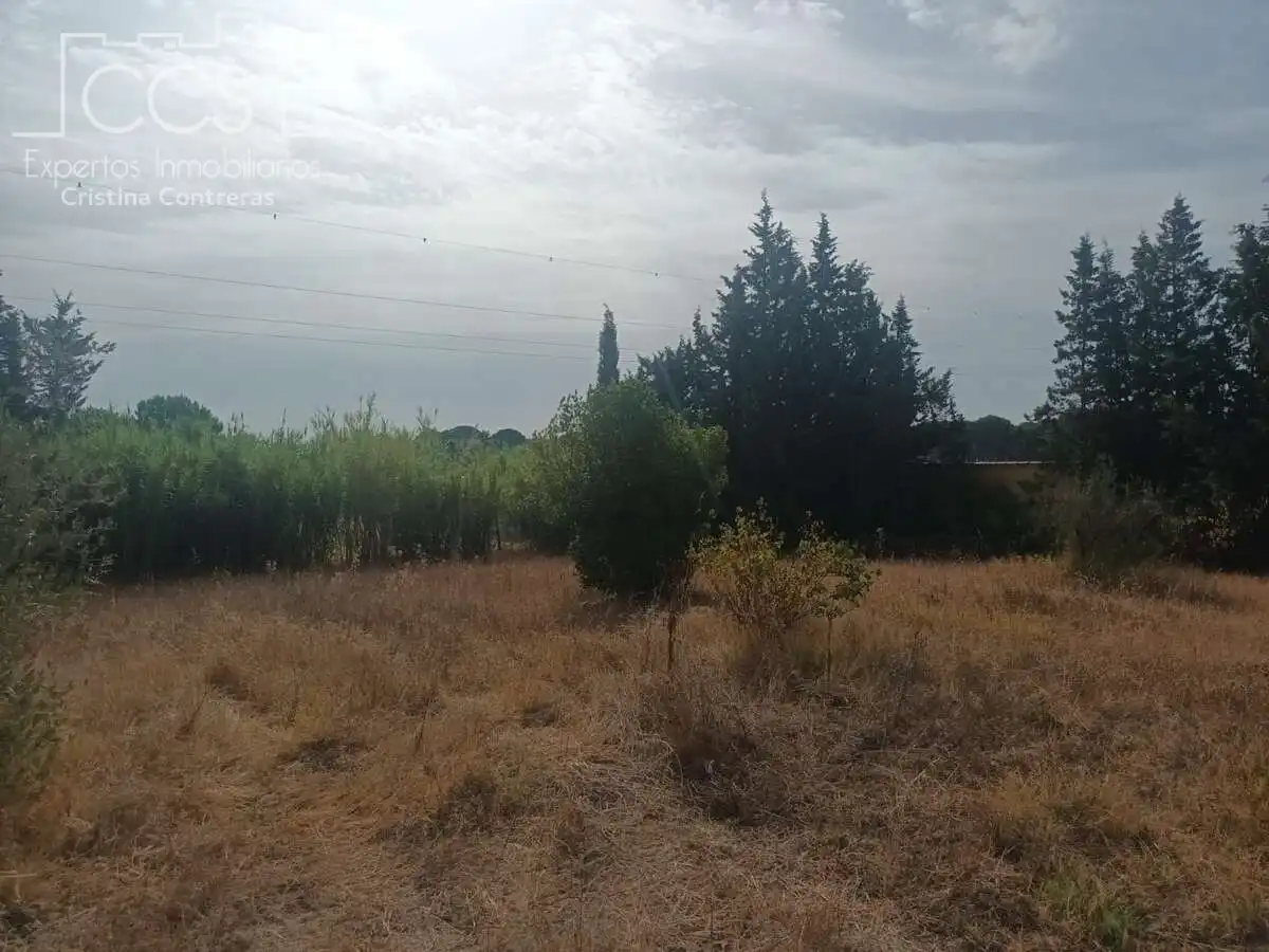 Casa rústica amb jardí en venda a Almonte ciudad, imagen 6