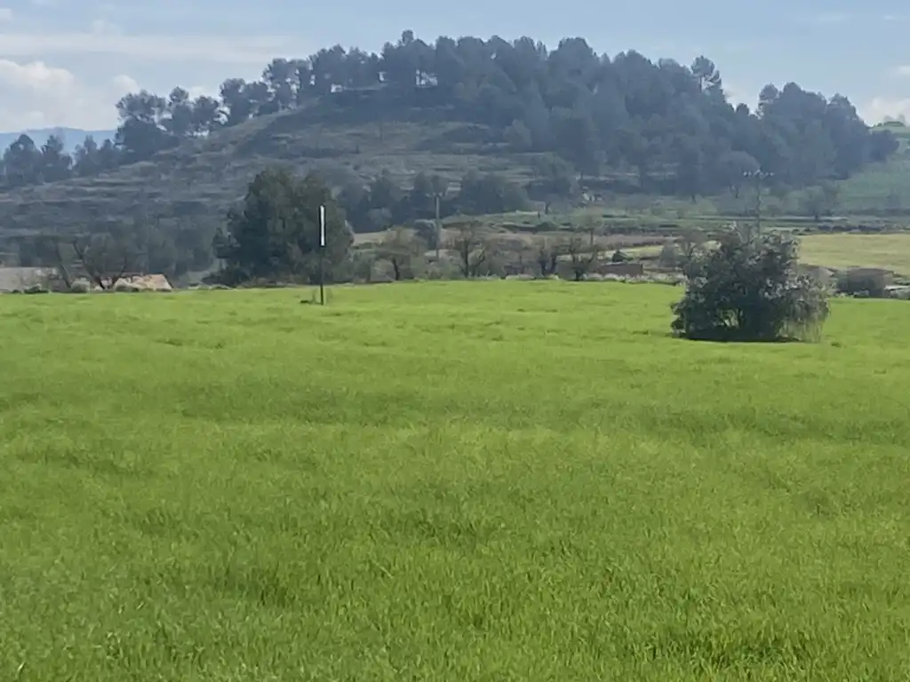 Terreny residencial en venda a Sant Fruitós de Bages, imagen 8
