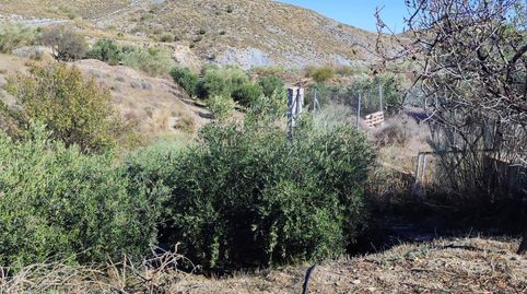 MACAEL  ALMERÍA . VENTA DE CASA DE CAMPO DE UNA PLANTA CON TERRENO., Bild 5