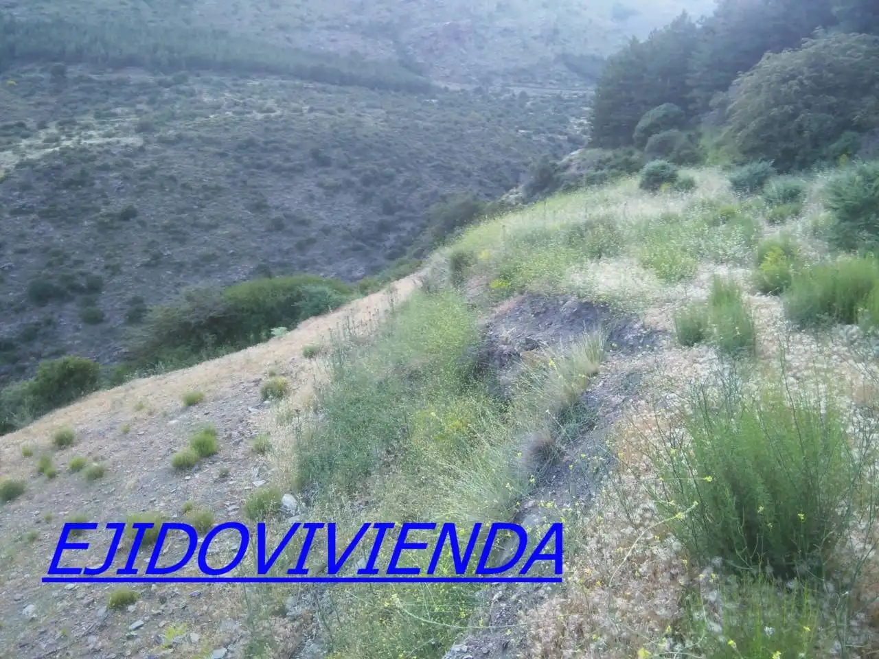 Terreni e lotti in vendita a Nevada, imagen 10