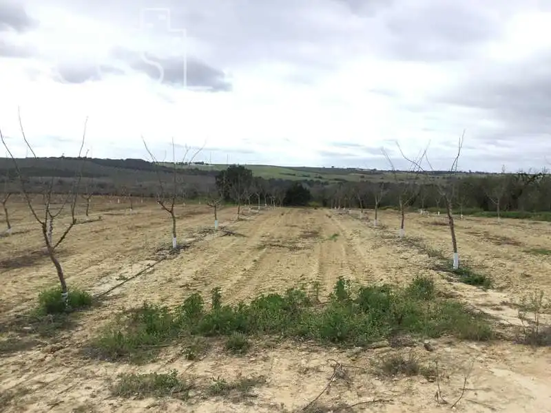 Terreno rústico en venta en Huévar del Aljarafe, imagen 12