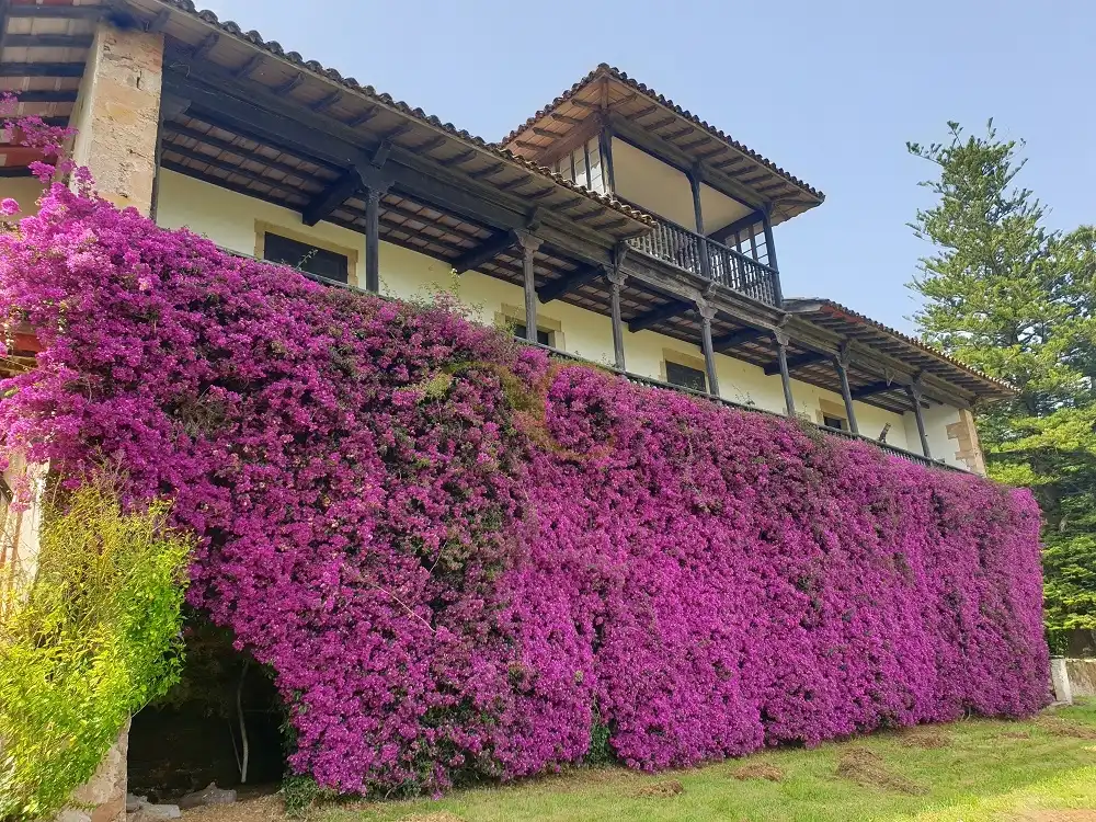 Casa o chalet en venta en Aldea Sorribes, Piloña