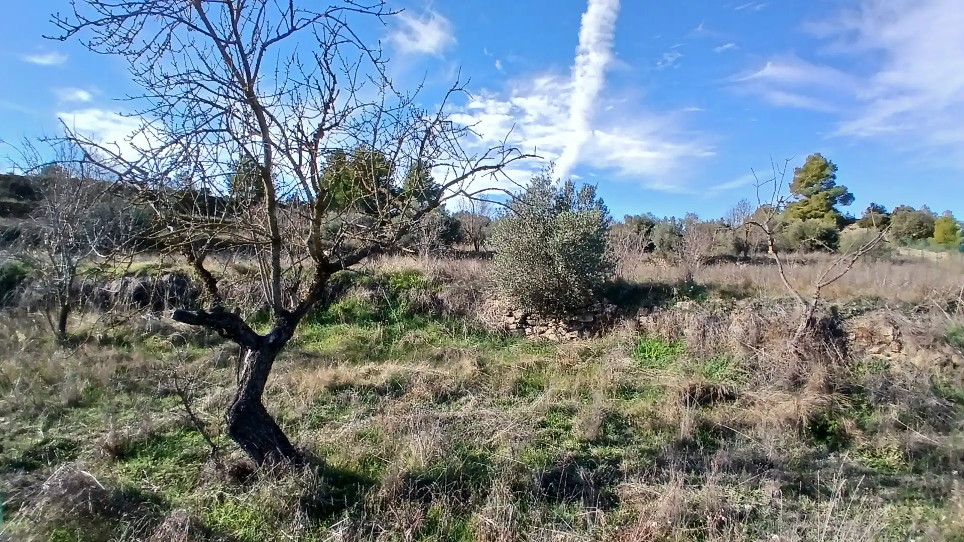 Terreni e lotti in vendita a Camino Fuente 5, imagen 9