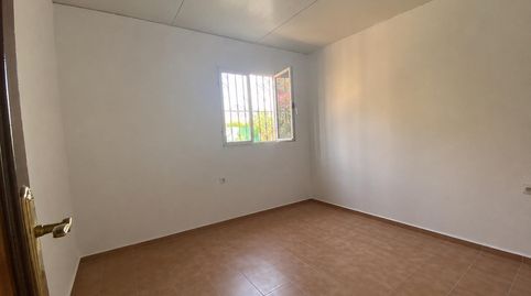 Foto 5 de Finca rústica de lloguer a Carmona, Sevilla