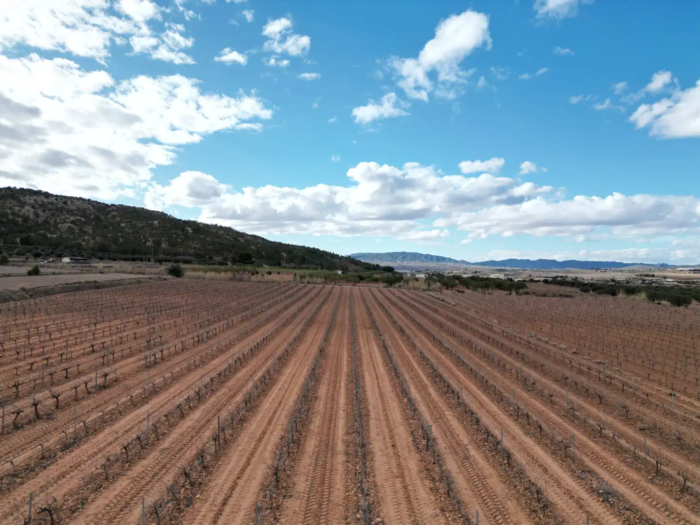 Residential land for sale in El Pinós / Pinoso, imagen 3