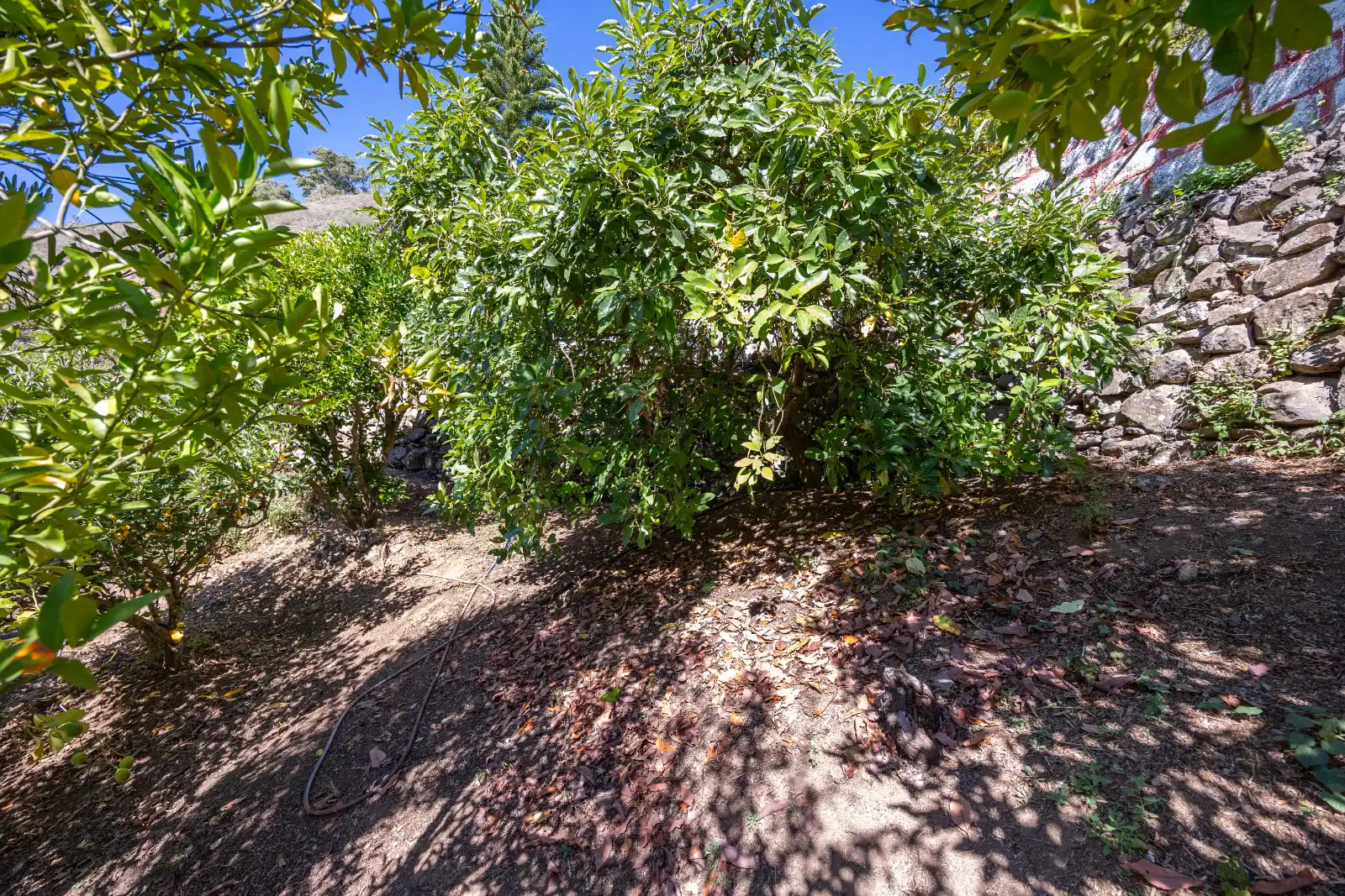 Casa rústica amb jardí en venda a Montaña Alta, imagen 53