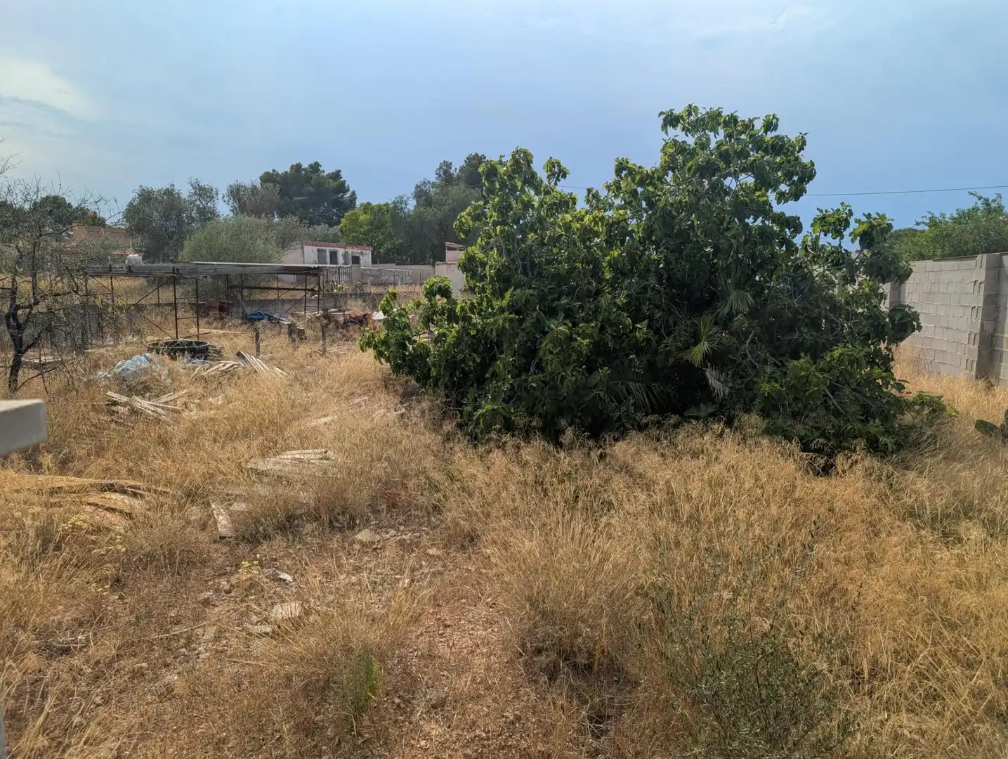 Residential land for sale in La Conarda - Montesano, imagen 18