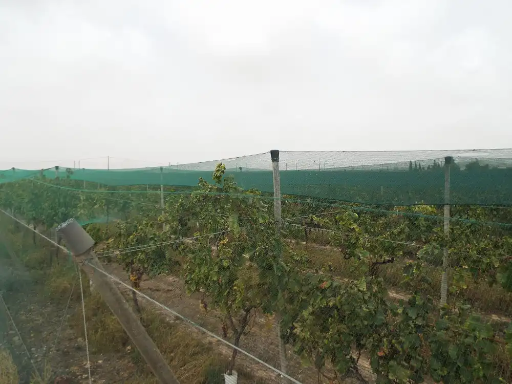 Terreno residencial en venta en Monforte del Cid, imagen 15