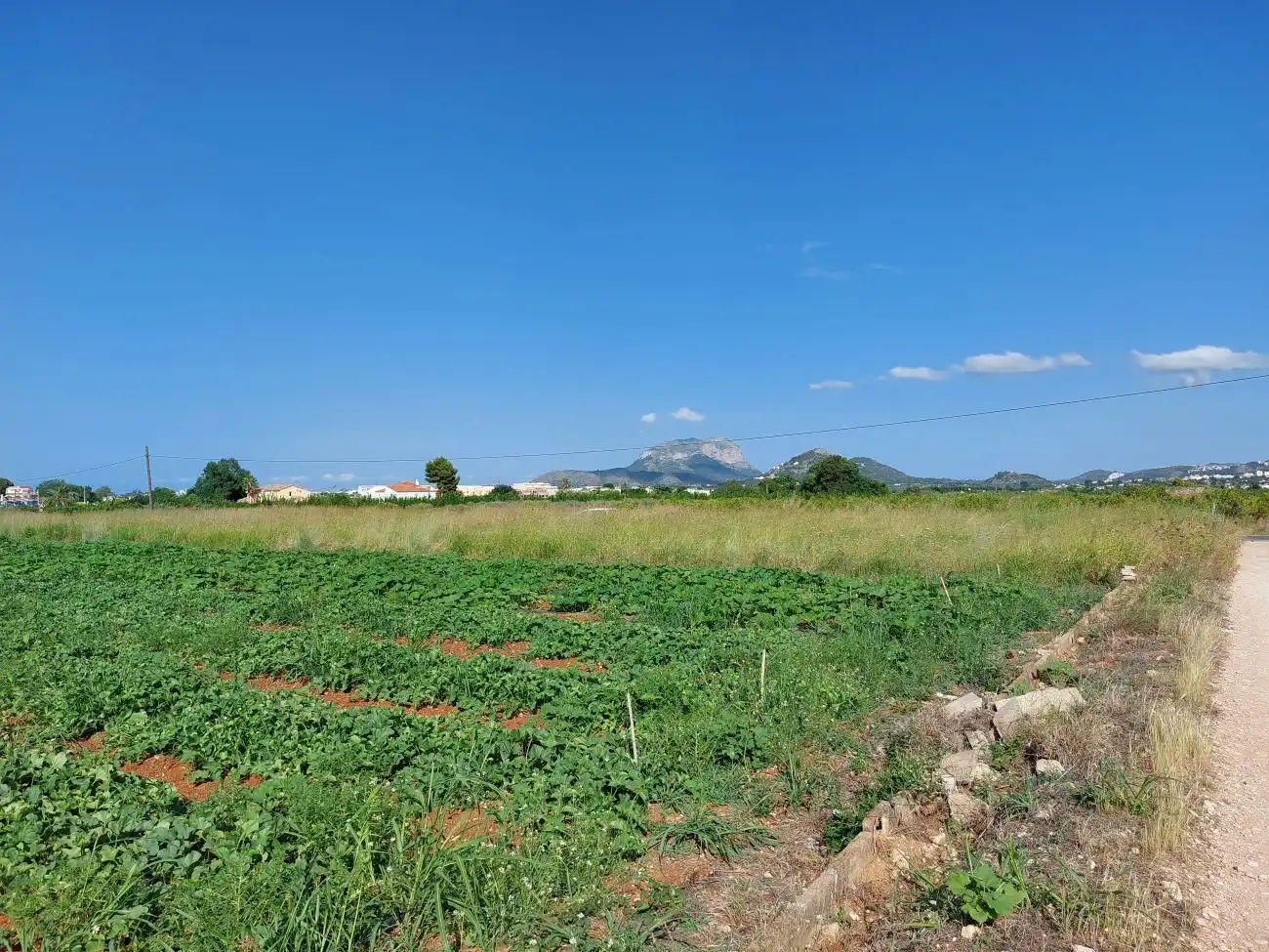 Terreny residencial en venda a Beniarbeig, imagen 8