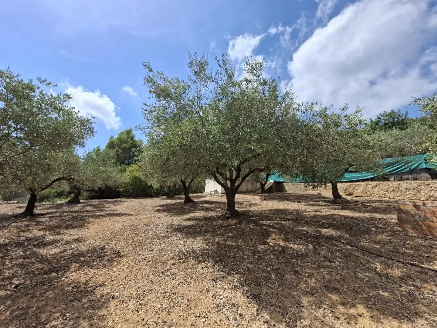 Terreno rustico in vendita a Partida del Mas d'en Civill, imagen 21