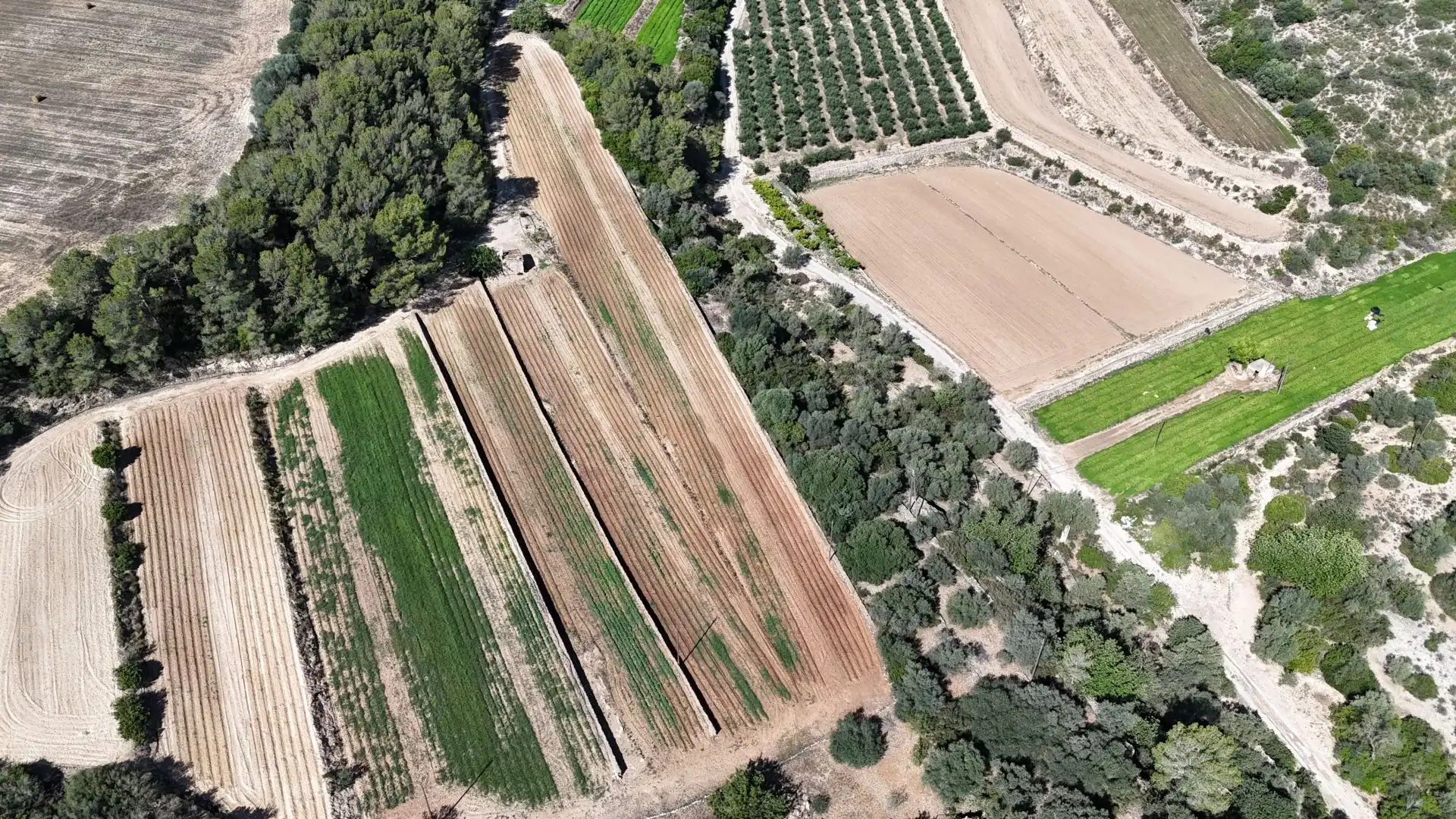 Terreno en venta en Tortosa