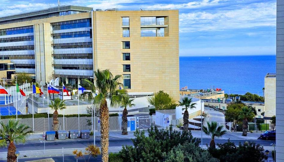 Foto 1 de Pis de lloguer a Glorieta Reino Unido, Palmeral, Alicante