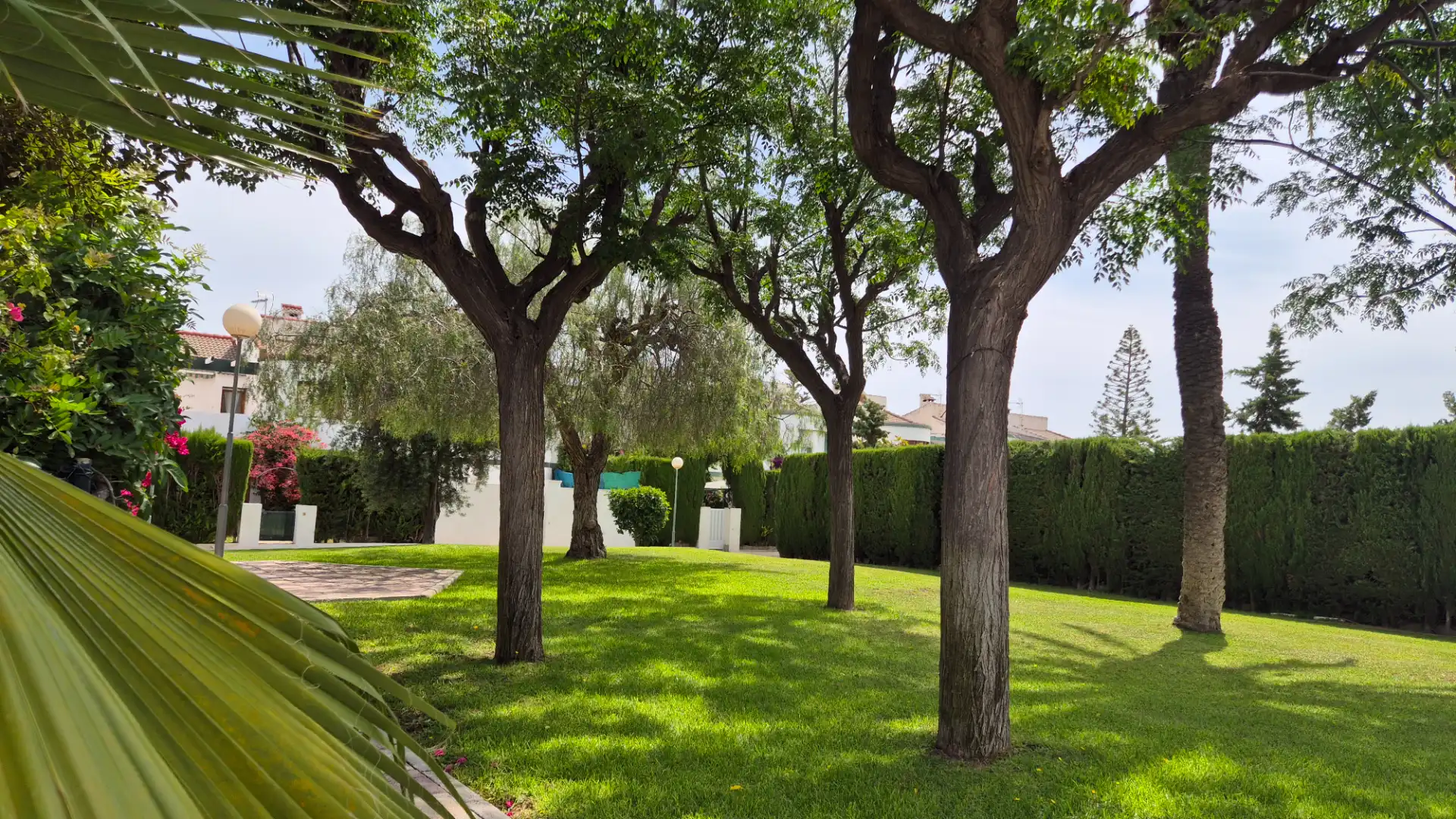 Garden of Detached homes for sale in Elche / Elx  with Air Conditioner, Heating and Terrace