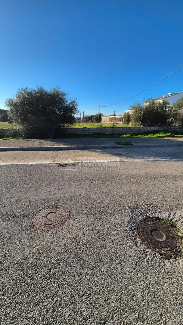 Rural land for sale in Conil, imagen 4