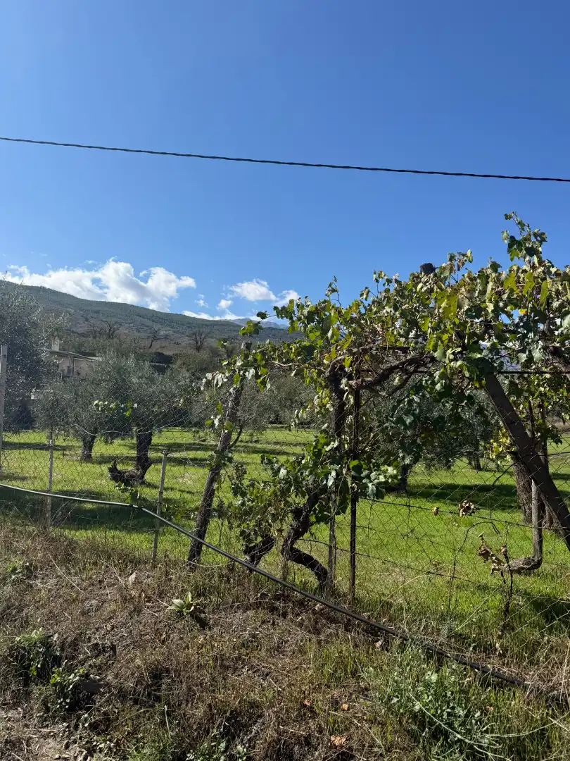 Casa rústica amb terrassa en venda a Abla, imagen 24