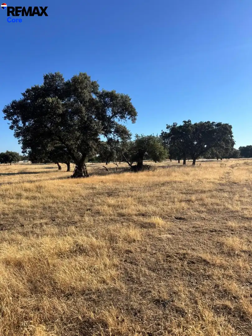 Terreni e lotti in vendita a Pedanías de Badajoz, imagen 6