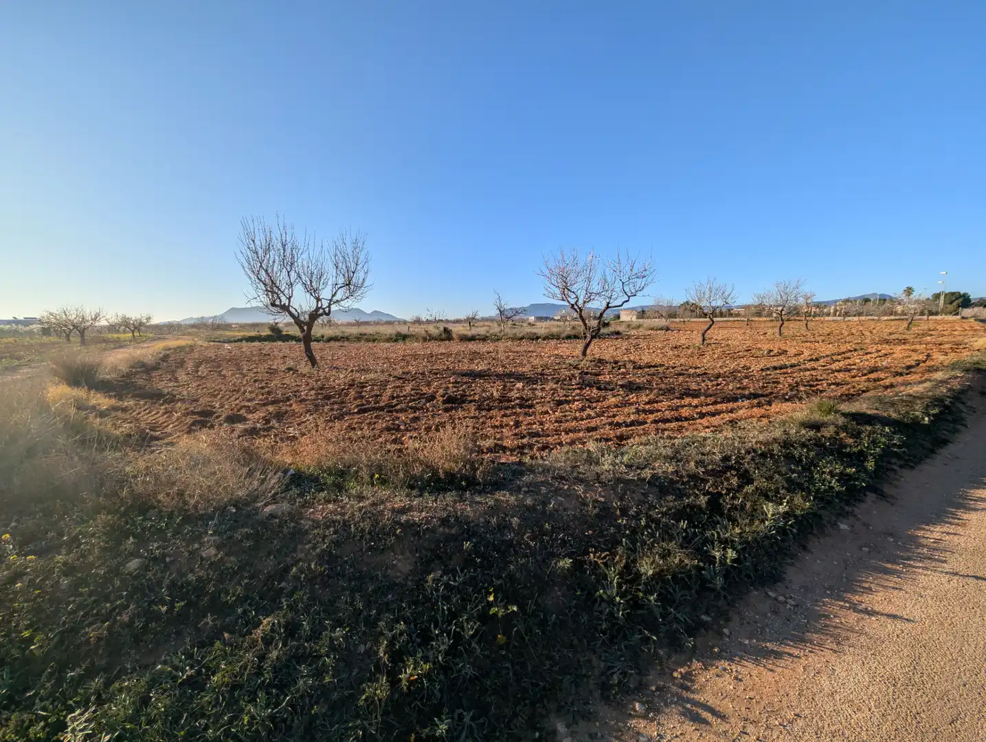 Terreno rustico in vendita a Pasaje Los Segados 152, imagen 2