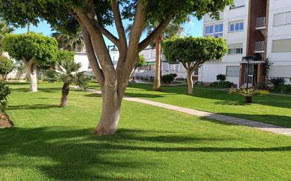 Jardí de Apartament de lloguer en Benalmádena