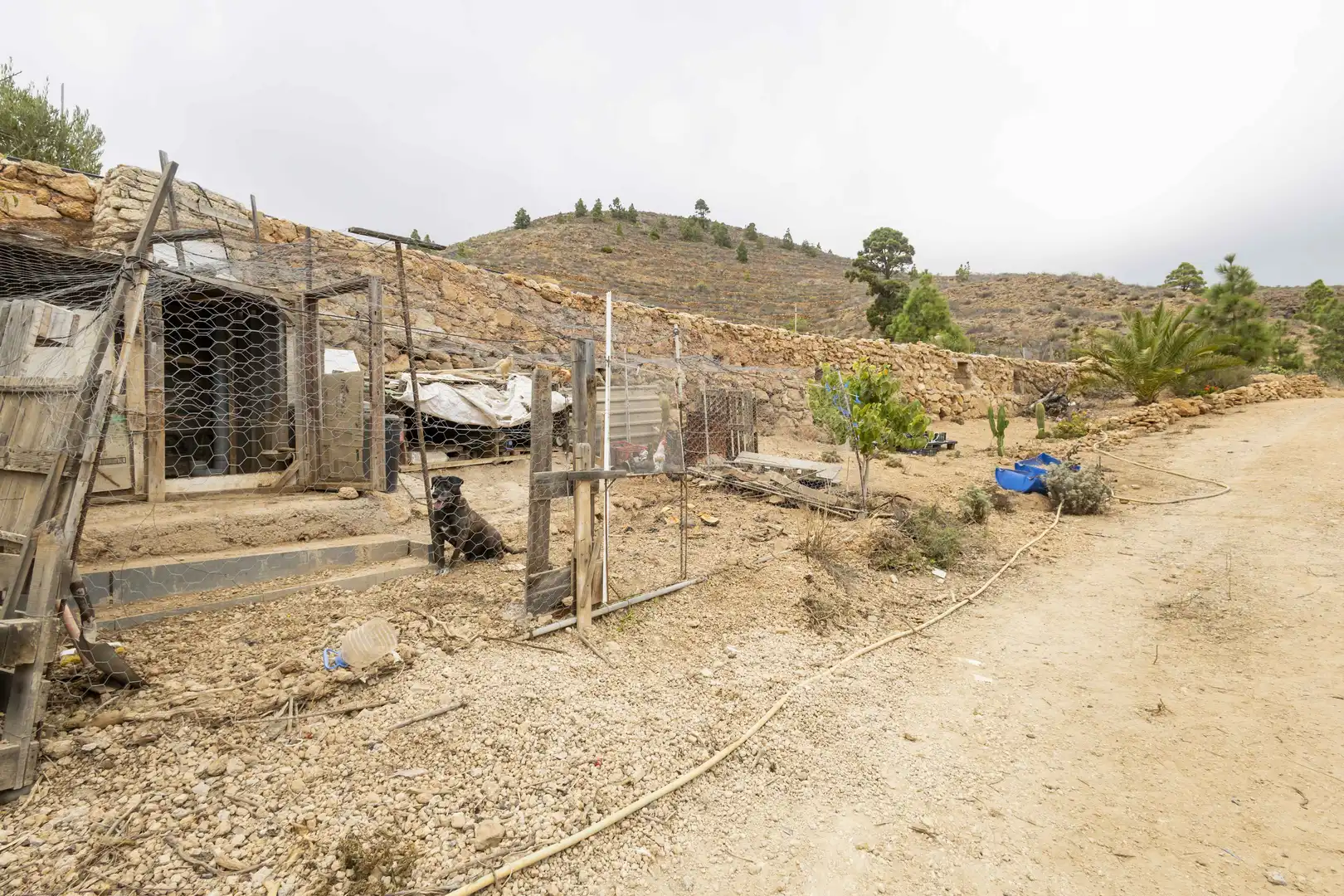 Terreno rustico in vendita a Calle San Bartolomé, imagen 3