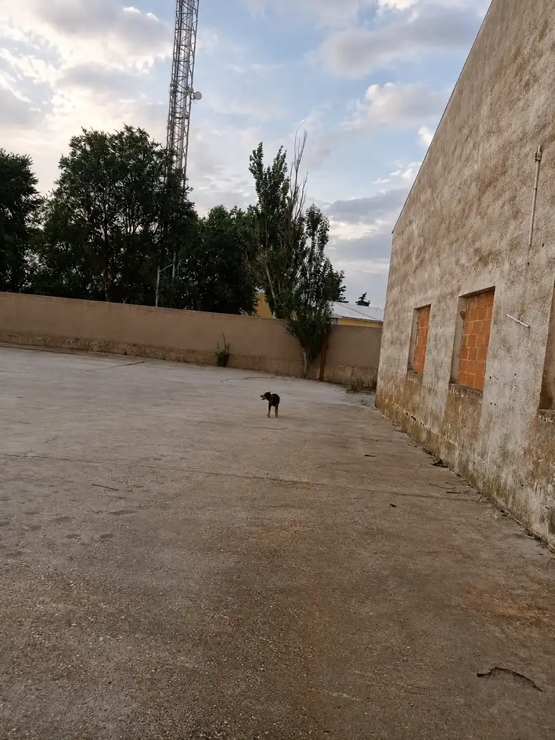 Nave industrielle à vendre à Camino Polígono, imagen 7