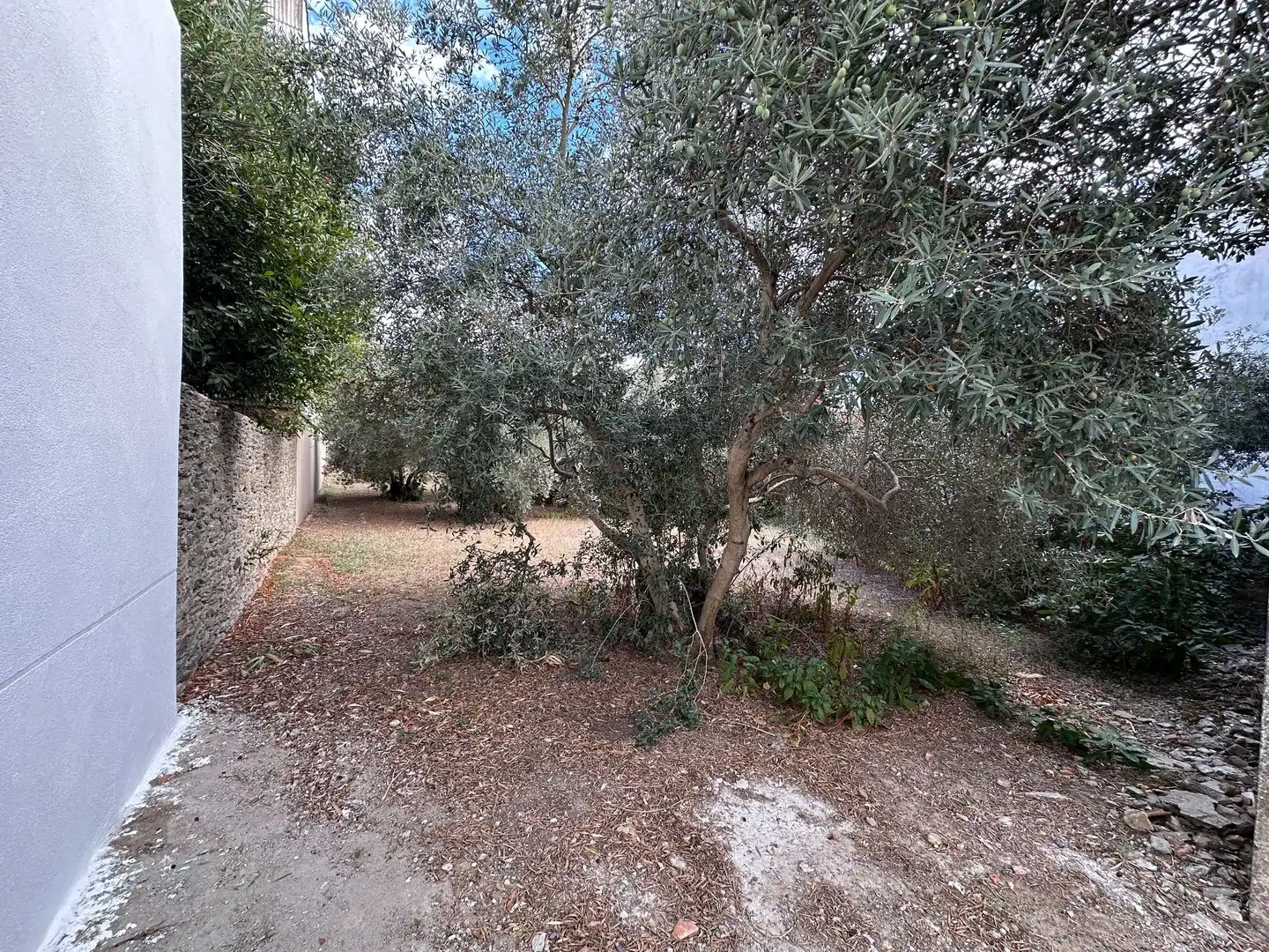 Terreni e lotti in vendita a Malpartida de Plasencia, imagen 3
