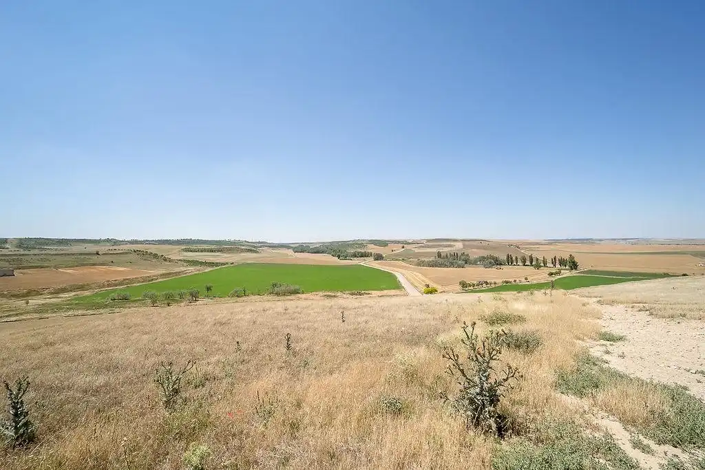 Finca rústica en venta en Montealegre de Campos