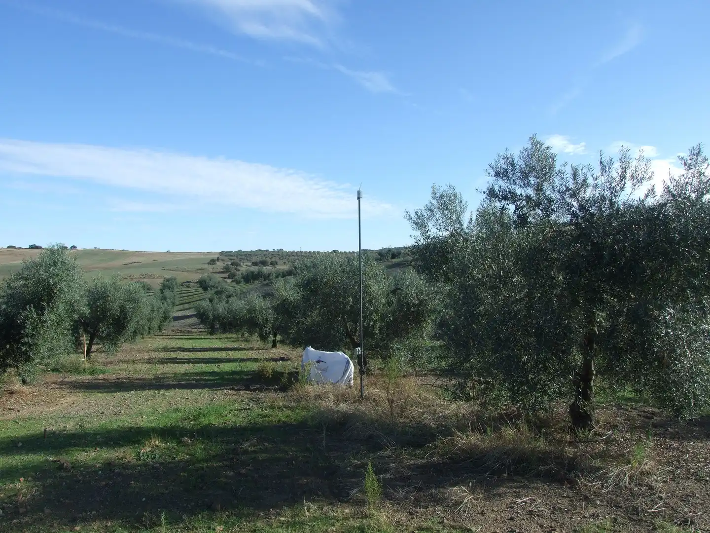 Terreno en venta en Calzadilla de los Barros