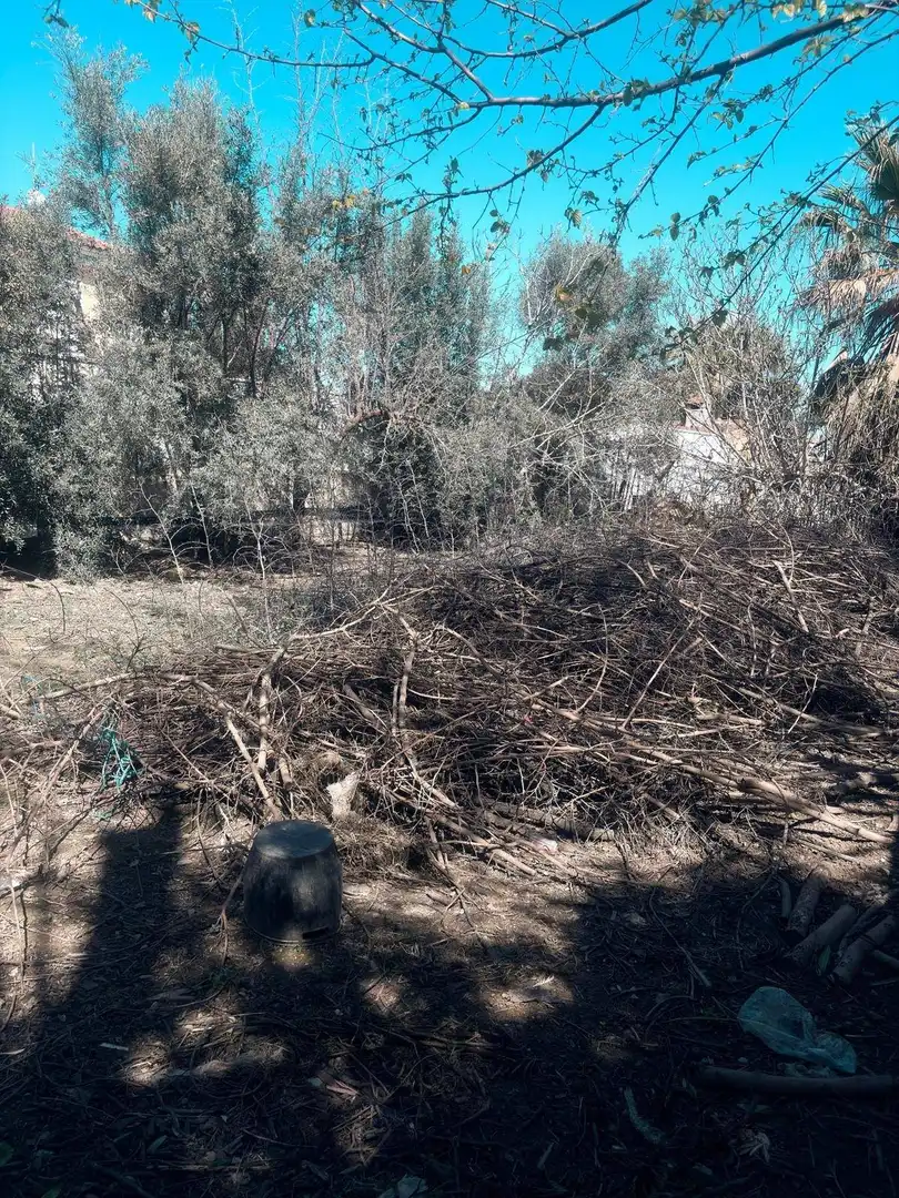 Terreny rústic en venda a Pedanías Norte, imagen 5