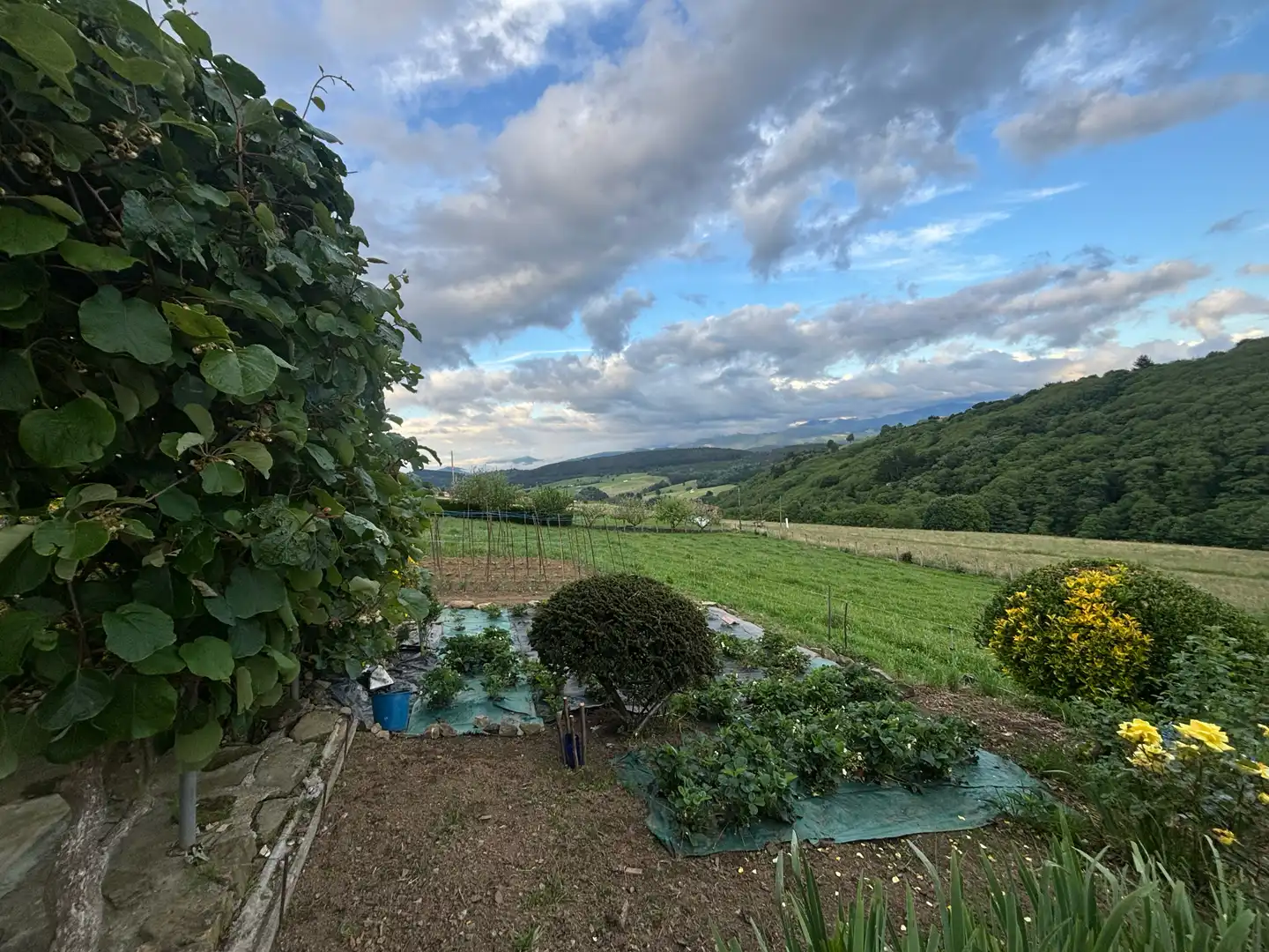 Jardín de Finca rústica en venta en Tineo con Jardín privado, Parquet y Terraza