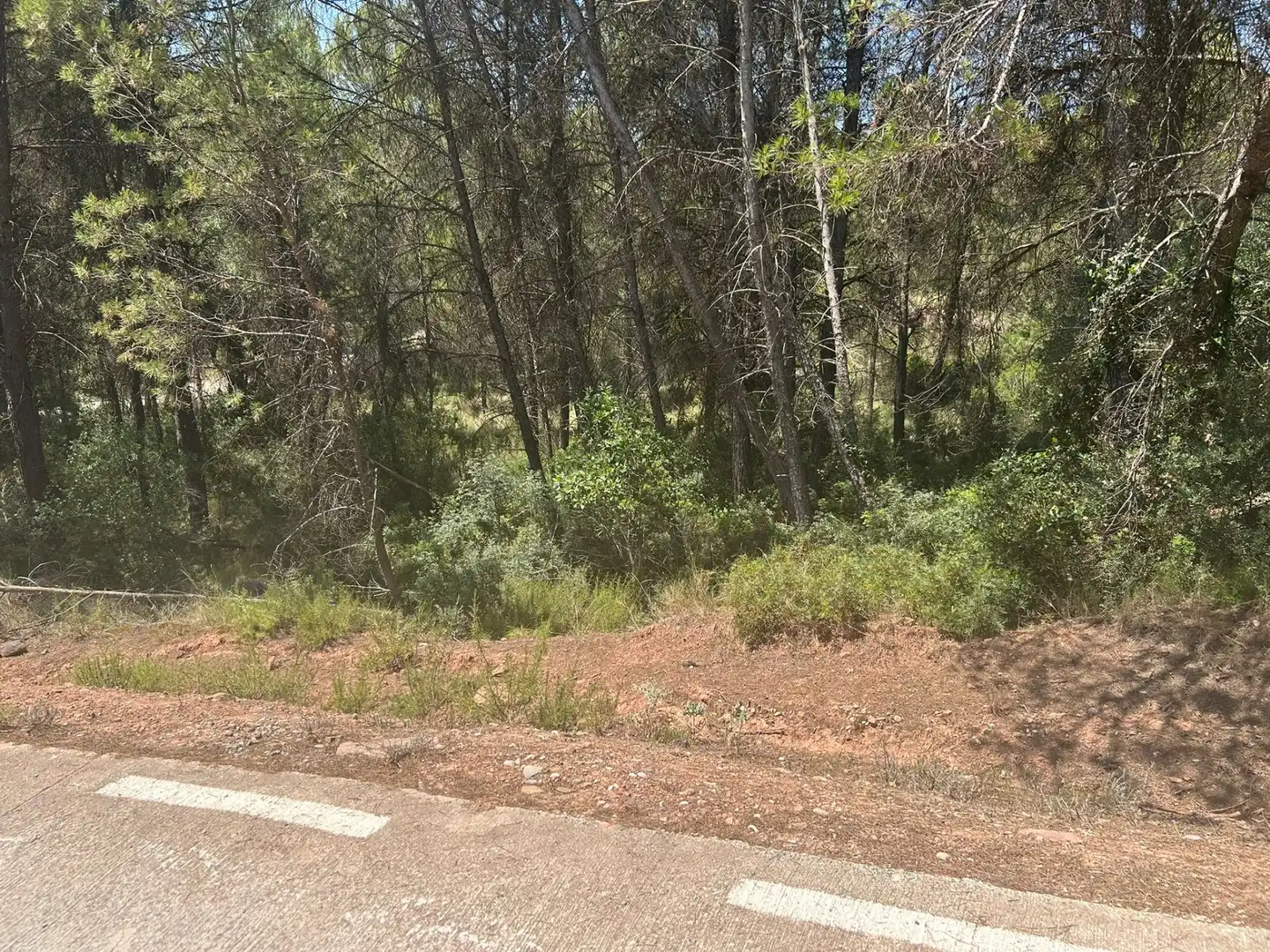 Terreno en venta en Rajadell