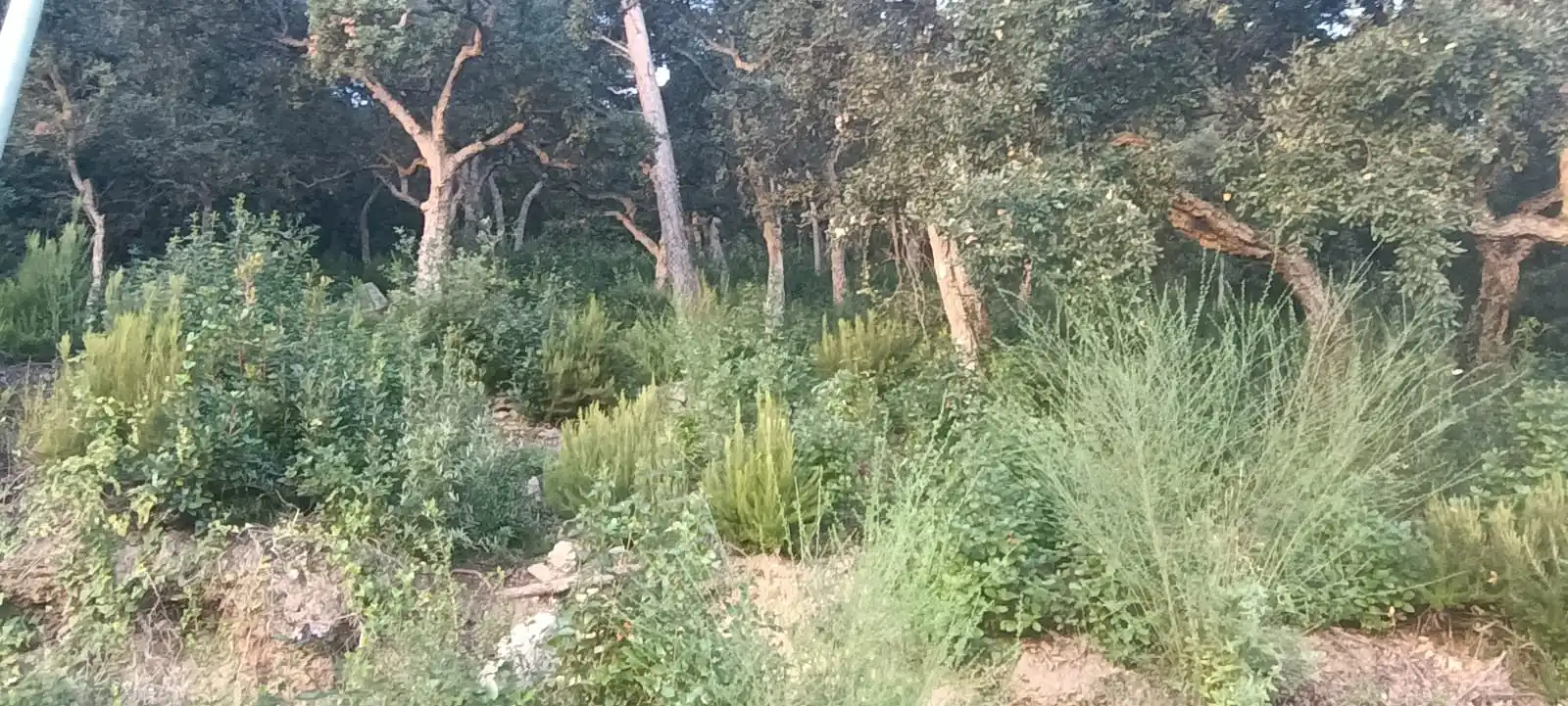 Terreno residencial en venta en Palafolls, imagen 5