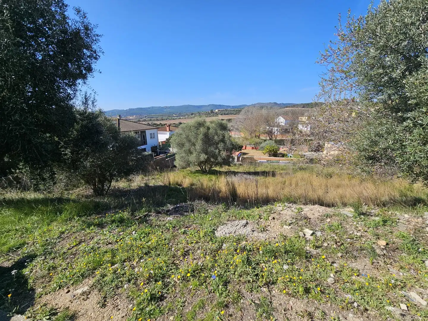 Terrenos y solares en venta en La Bisbal del Penedès, imagen 2